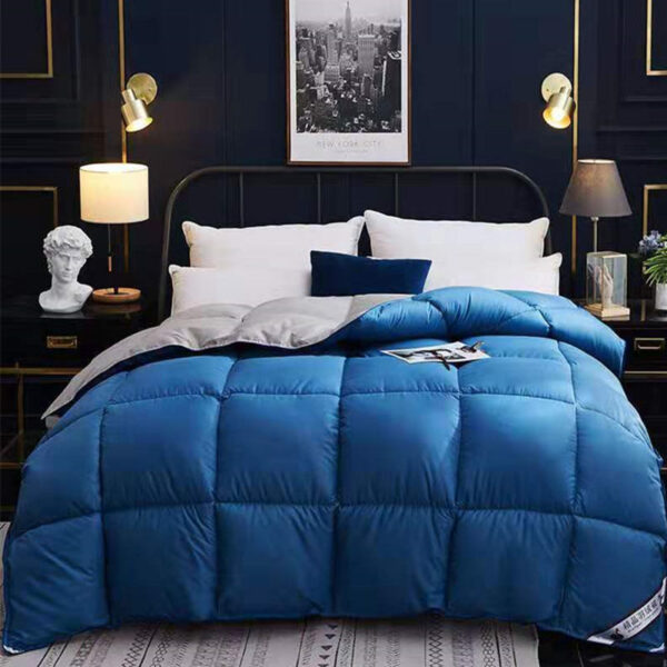 Down Duvet, Winter Duvet, Goose Down Duvet Core, Air Conditioner - Image 6