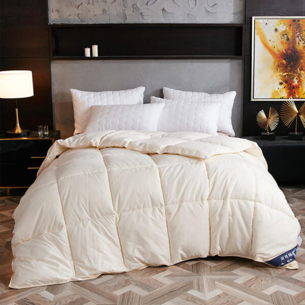 Down Duvet, Winter Duvet, Goose Down Duvet Core, Air Conditioner - Image 4