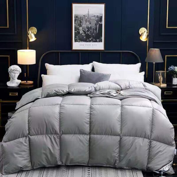 Down Duvet, Winter Duvet, Goose Down Duvet Core, Air Conditioner - Image 5